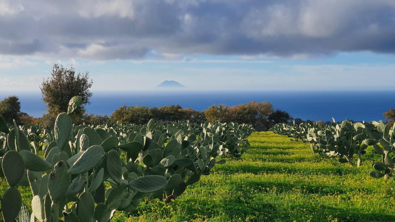 Villa Maria Elena Charme B&B Capo Vaticano Zewnętrze zdjęcie